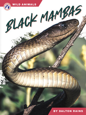 cover image of Black Mambas